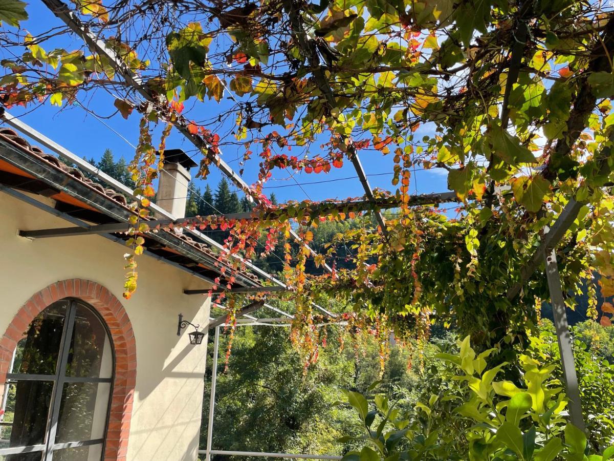 巴尔加La Limonaia Di Casagrande别墅 外观 照片