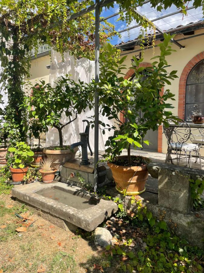 巴尔加La Limonaia Di Casagrande别墅 外观 照片